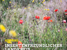 Bild von Blumenwiese, Text: Antrag, Insektenfreundlicher Landkreis